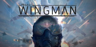 Project Wingman